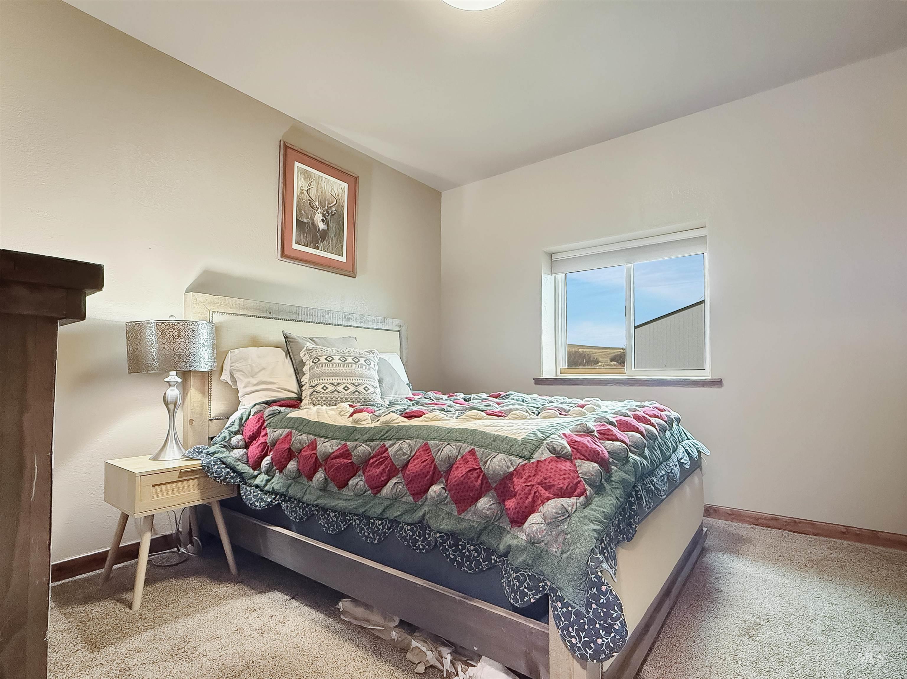 1030 Tempest Lane Viola, ID 83872 - Photo 18 of 37 Bedroom featuring light colored carpet