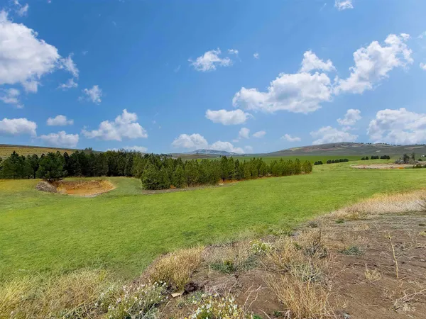 $925,000 | 1030 Tempest Lane, Viola, ID 83872