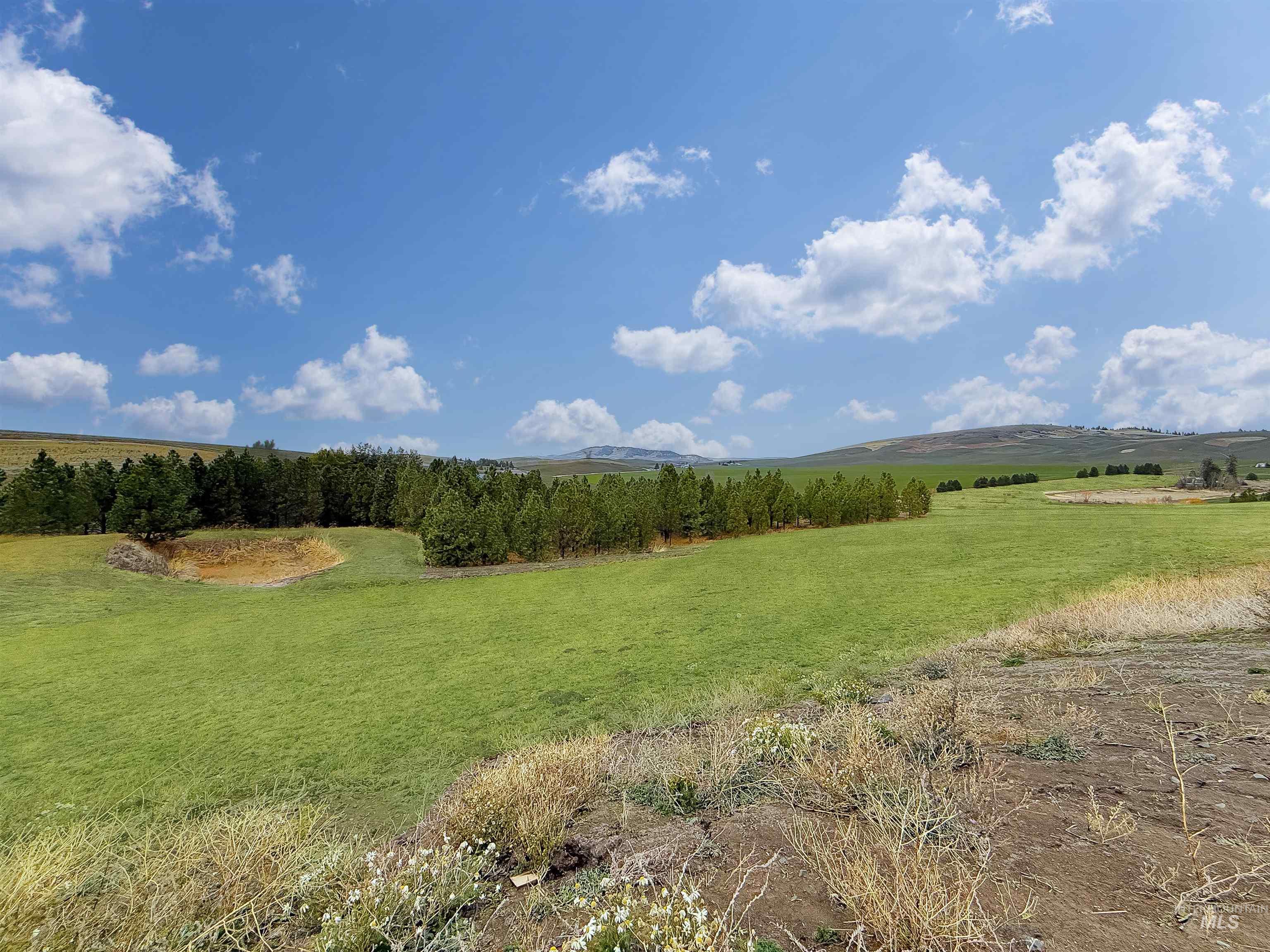 1030 Tempest Lane Viola, ID 83872 - Photo 29 of 37 View of local wilderness featuring rural landscape and a mountain backdrop