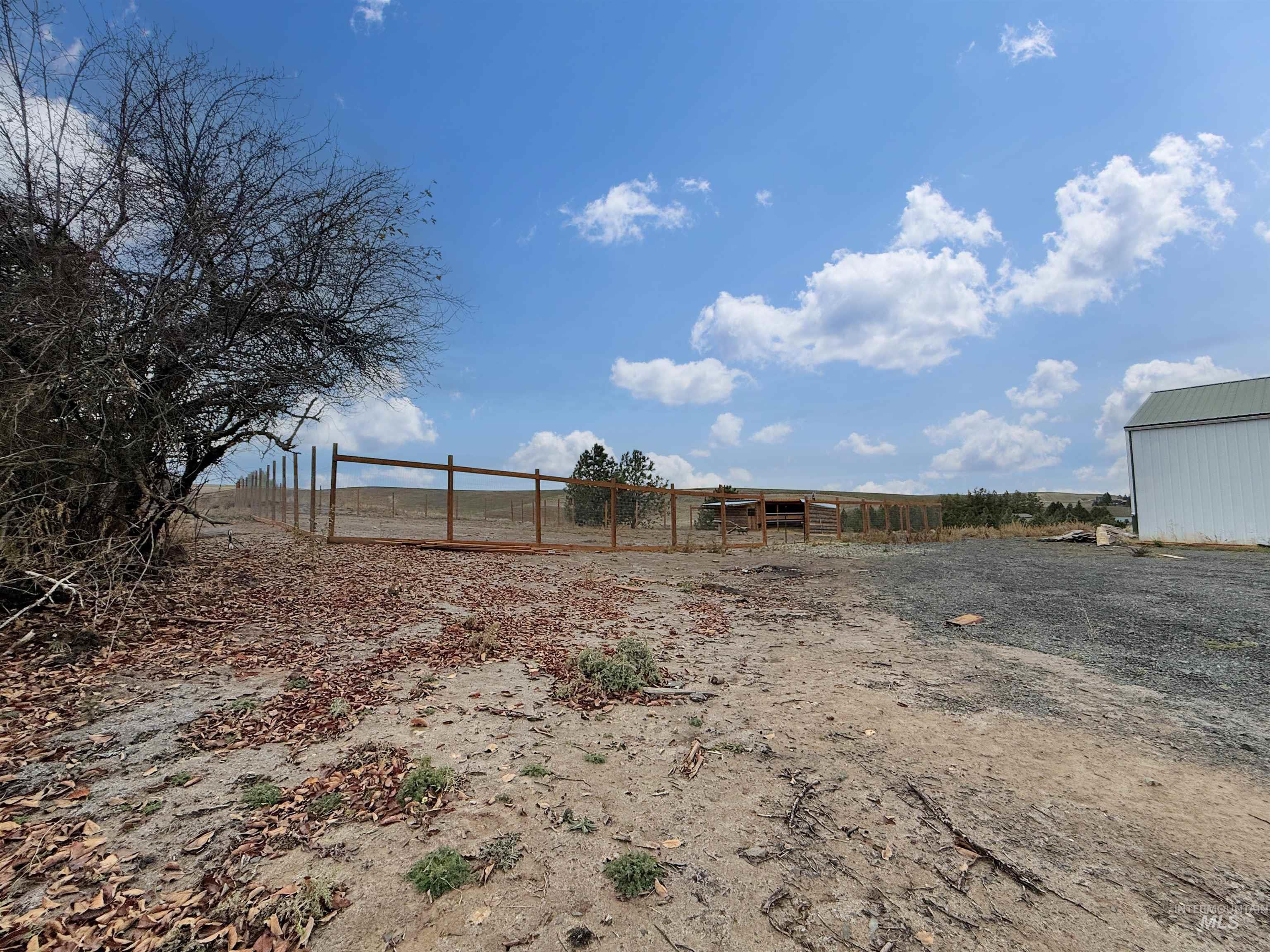1030 Tempest Lane Viola, ID 83872 - Photo 31 of 37 View of yard with an outdoor structure