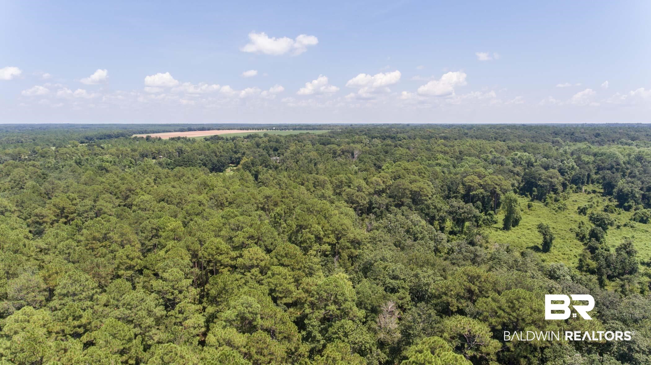17869 River Road Summerdale, AL 36580 - Photo 70 of 79 Birds eye view of property
