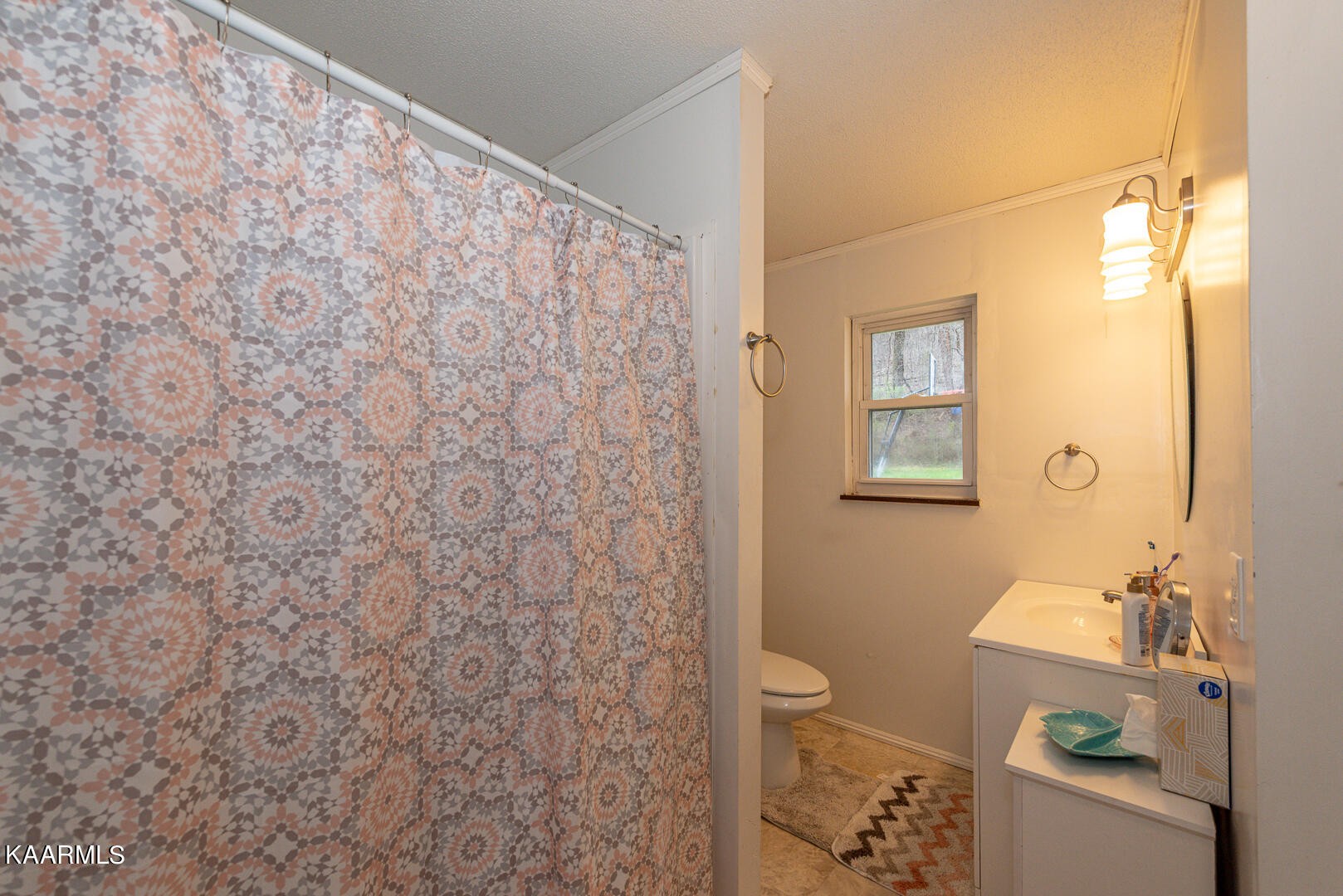 1399 Niles Ferry Road Greenback, TN 37742 - Photo 15 of 28 a bathroom with a toilet and a shower curtain
