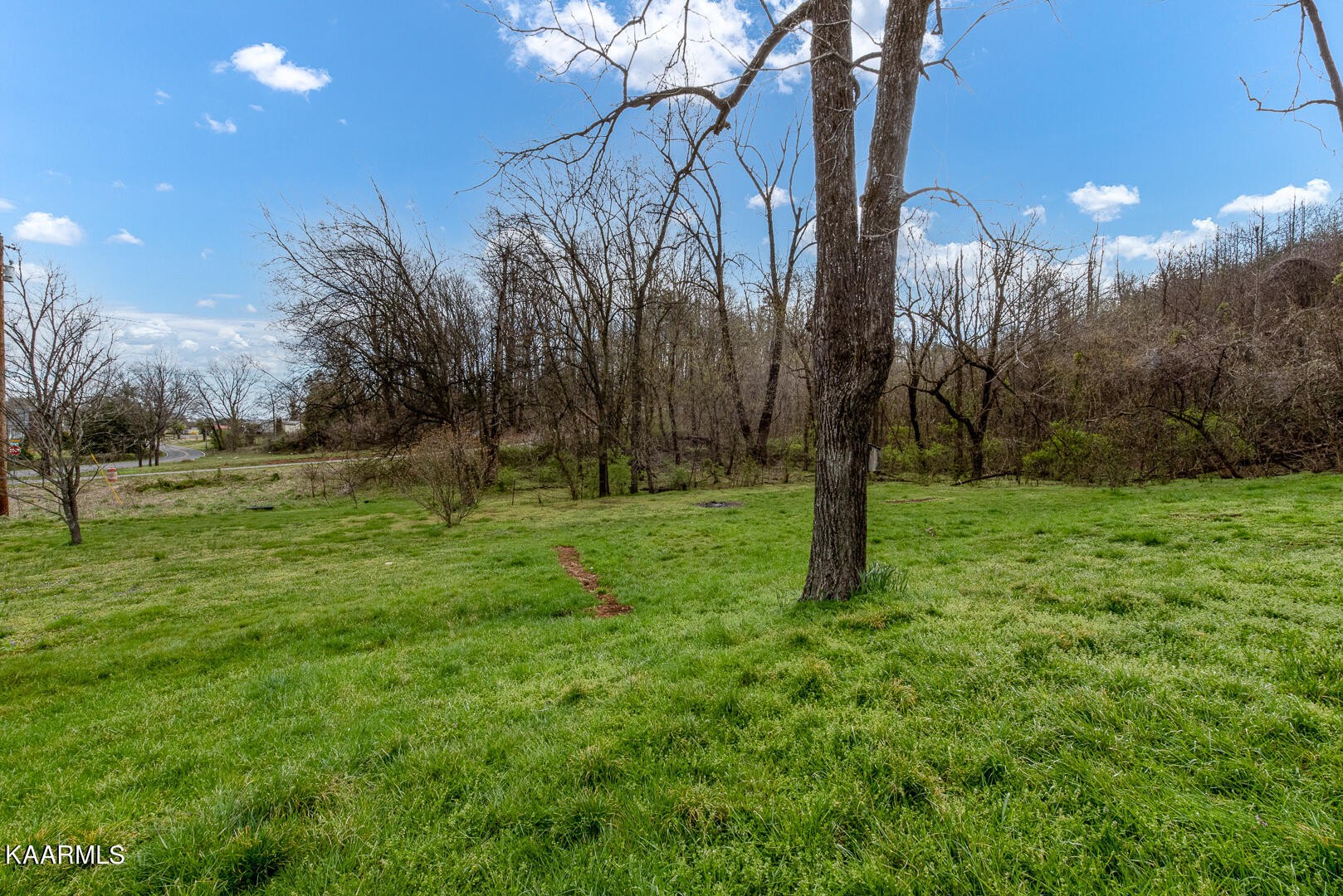 1399 Niles Ferry Road Greenback, TN 37742 - Photo 23 of 28 a view of outdoor space with green field and trees