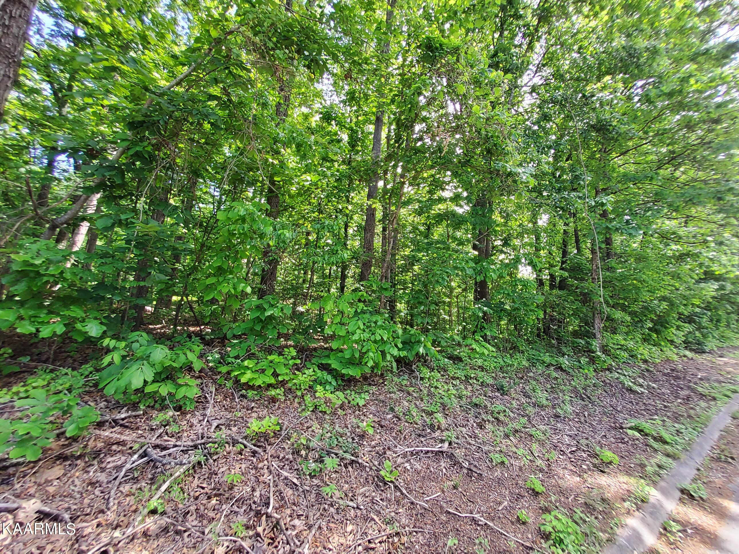 Frontier Circle Friendsville, TN 37737 - Photo 11 of 13 20230505_141207
