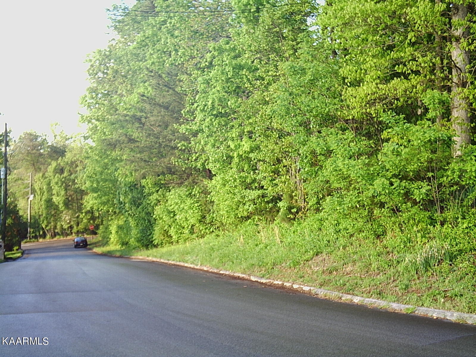 Frontier Circle Friendsville, TN 37737 - Photo 3 of 13 PICT0108