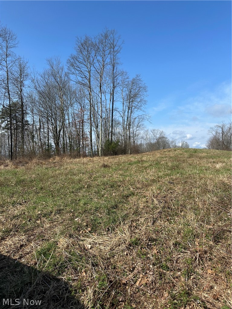 44800 Jim Stimpert Road Lewisville, OH 43754 - Photo 29 of 49