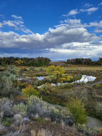 $2,449,000 | 55347 X Begonia Road, Delta, CO 81416