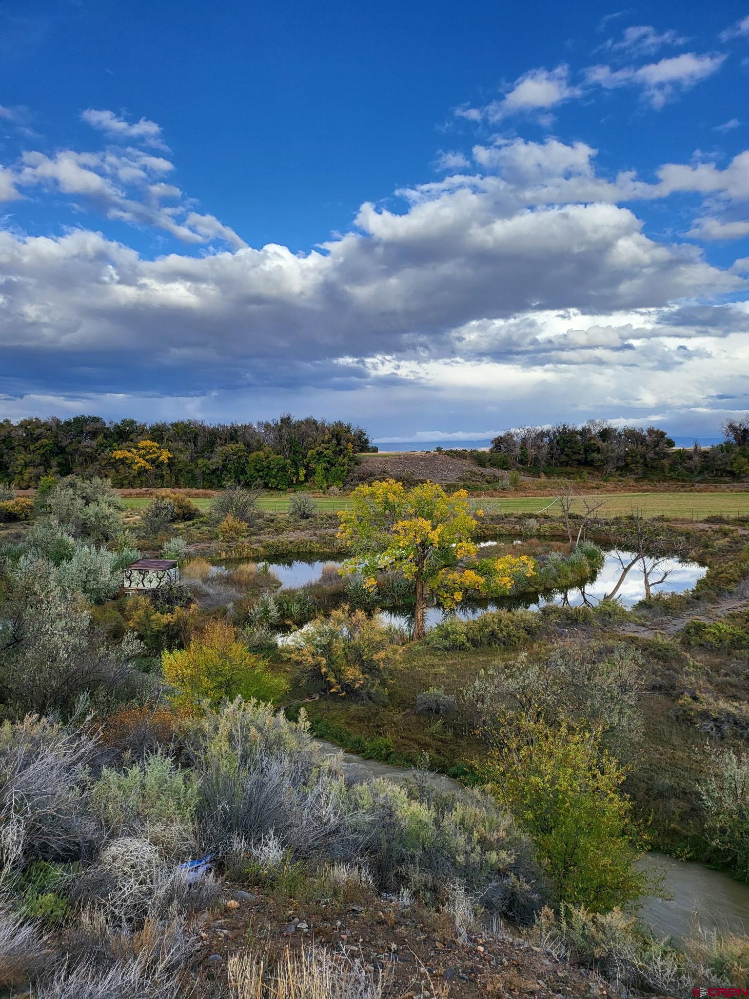 55347 X Begonia Road Delta, CO 81416 - Photo 17 of 41