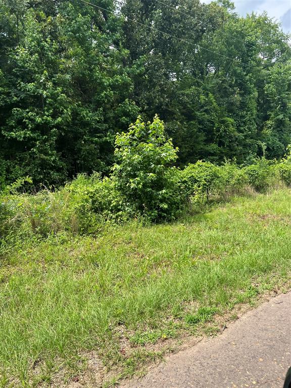 4112 VZ County Road Canton, TX 75103 - Photo 16 of 21