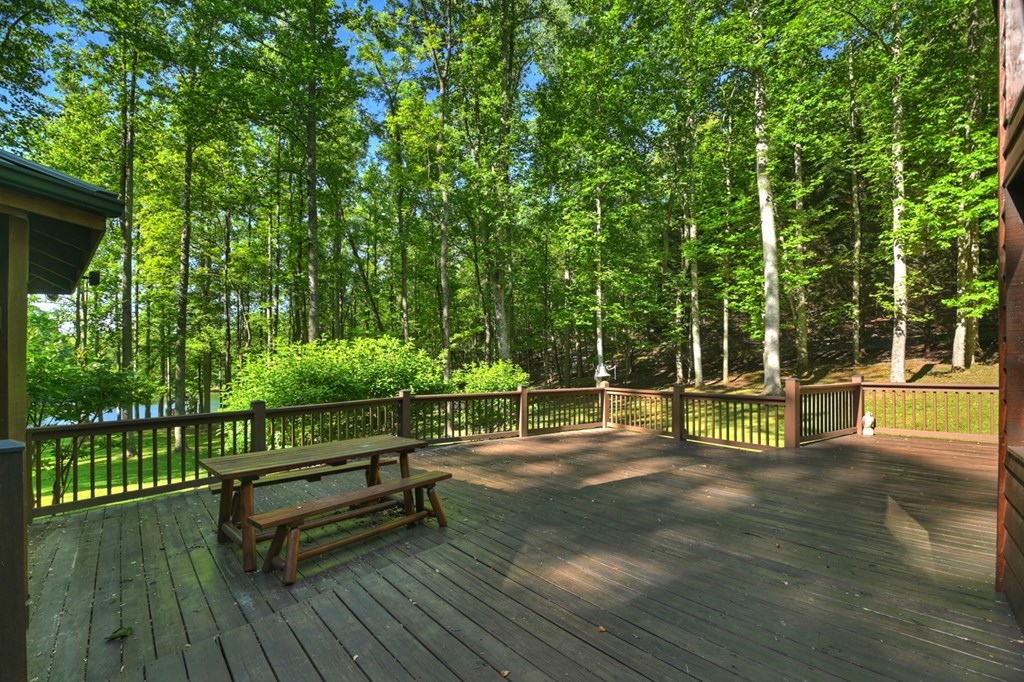 11 Mattie Mitchell Road Morganton, GA 30560 - Photo 35 of 64