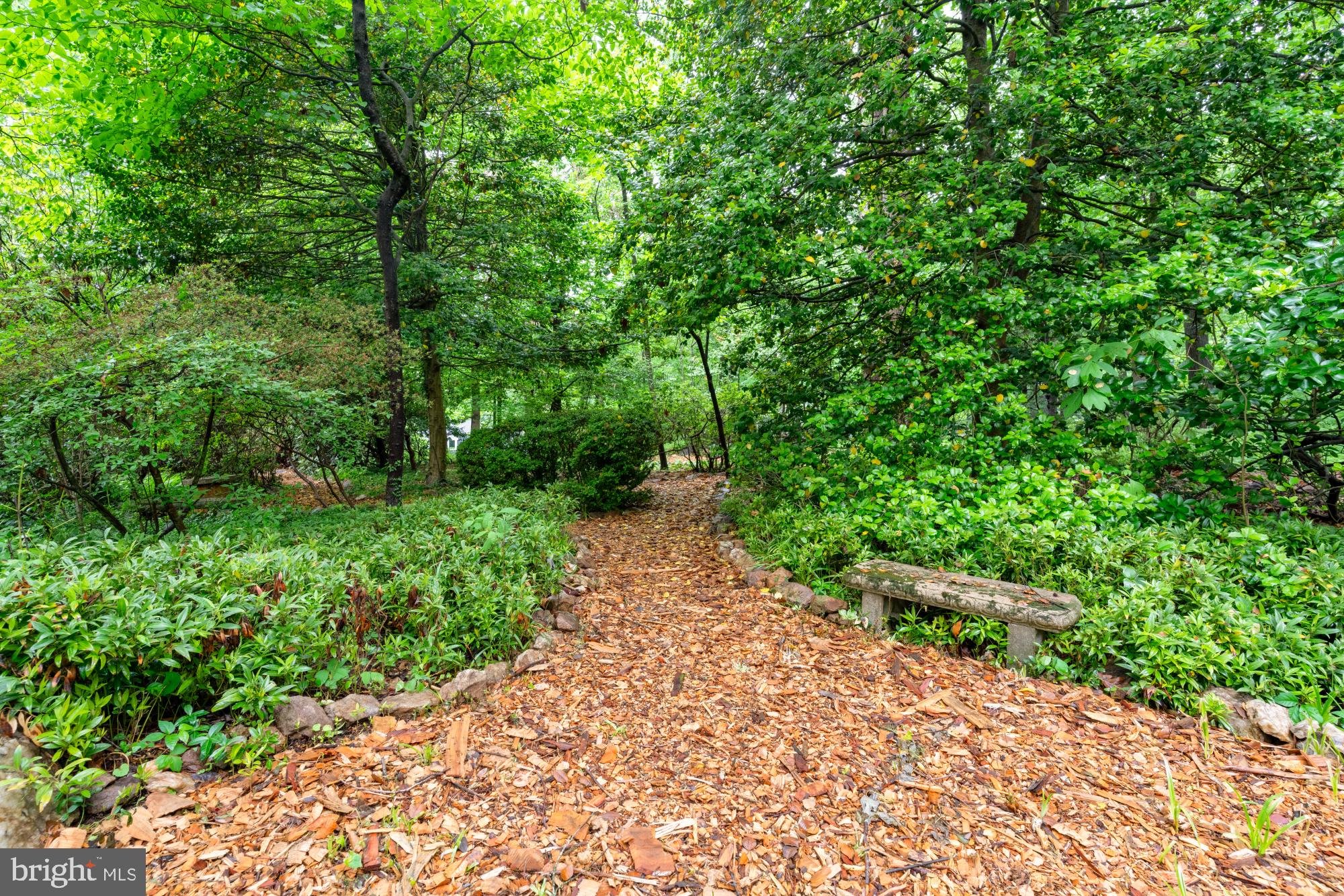 13001 Dulaney Valley Road Glen Arm, MD 21057 - Photo 50 of 52 a view of a pathway both side of yard