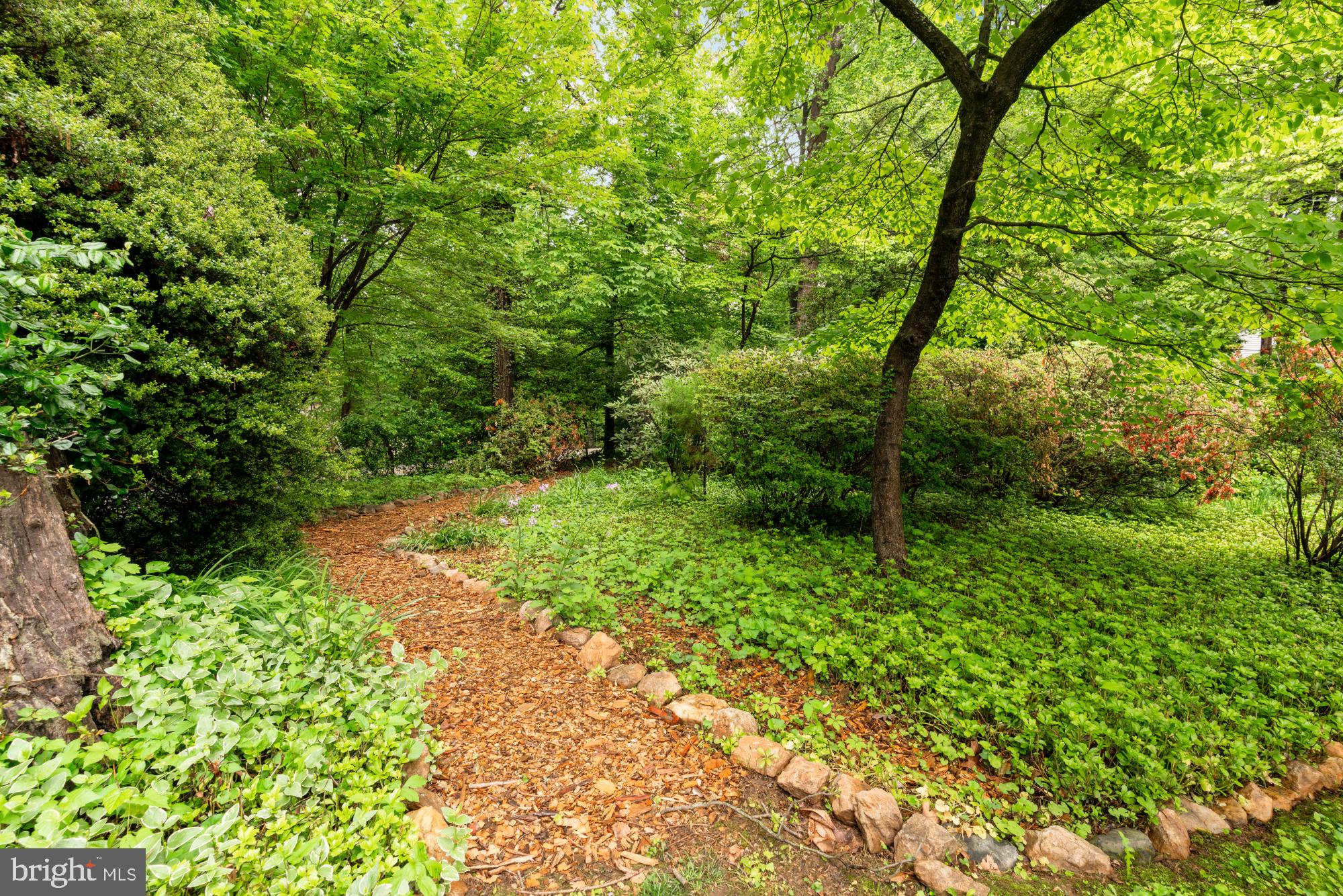 13001 Dulaney Valley Road Glen Arm, MD 21057 - Photo 5 of 52 a view of a yard with a tree