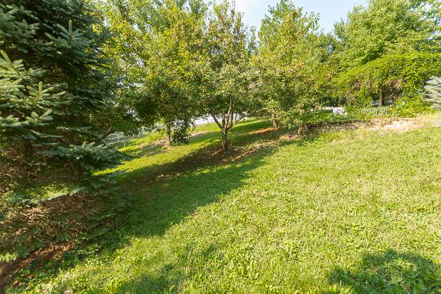 1646 Massanetta Springs Road Harrisonburg, VA 22801 - Photo 4 of 34 Gallery Image 4