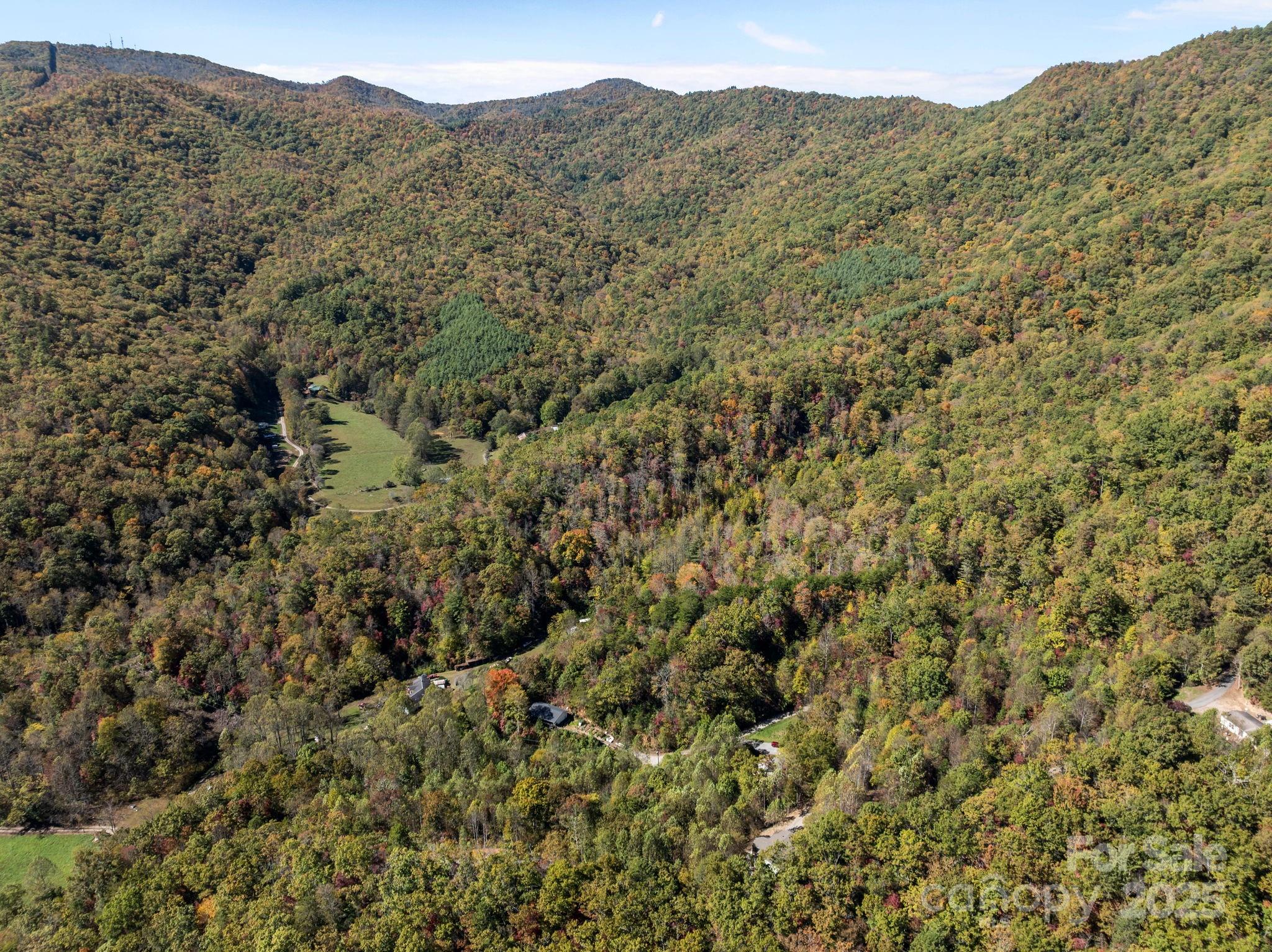 86 Tuts Terrace Sylva, NC 28779 - Photo 38 of 48 a view of a forest with a mountain in the background