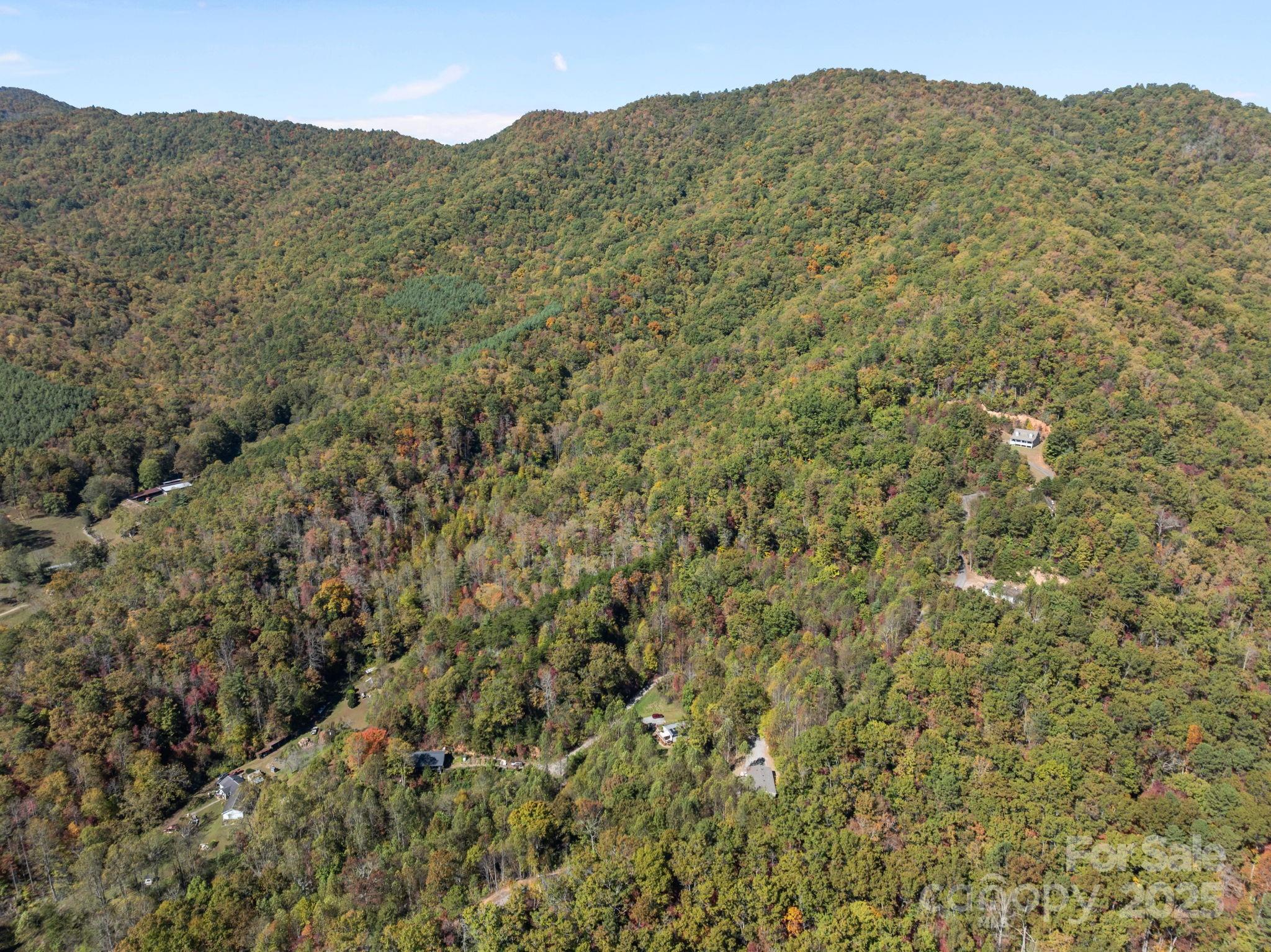 86 Tuts Terrace Sylva, NC 28779 - Photo 44 of 48 a view of a mountain range with trees in the background