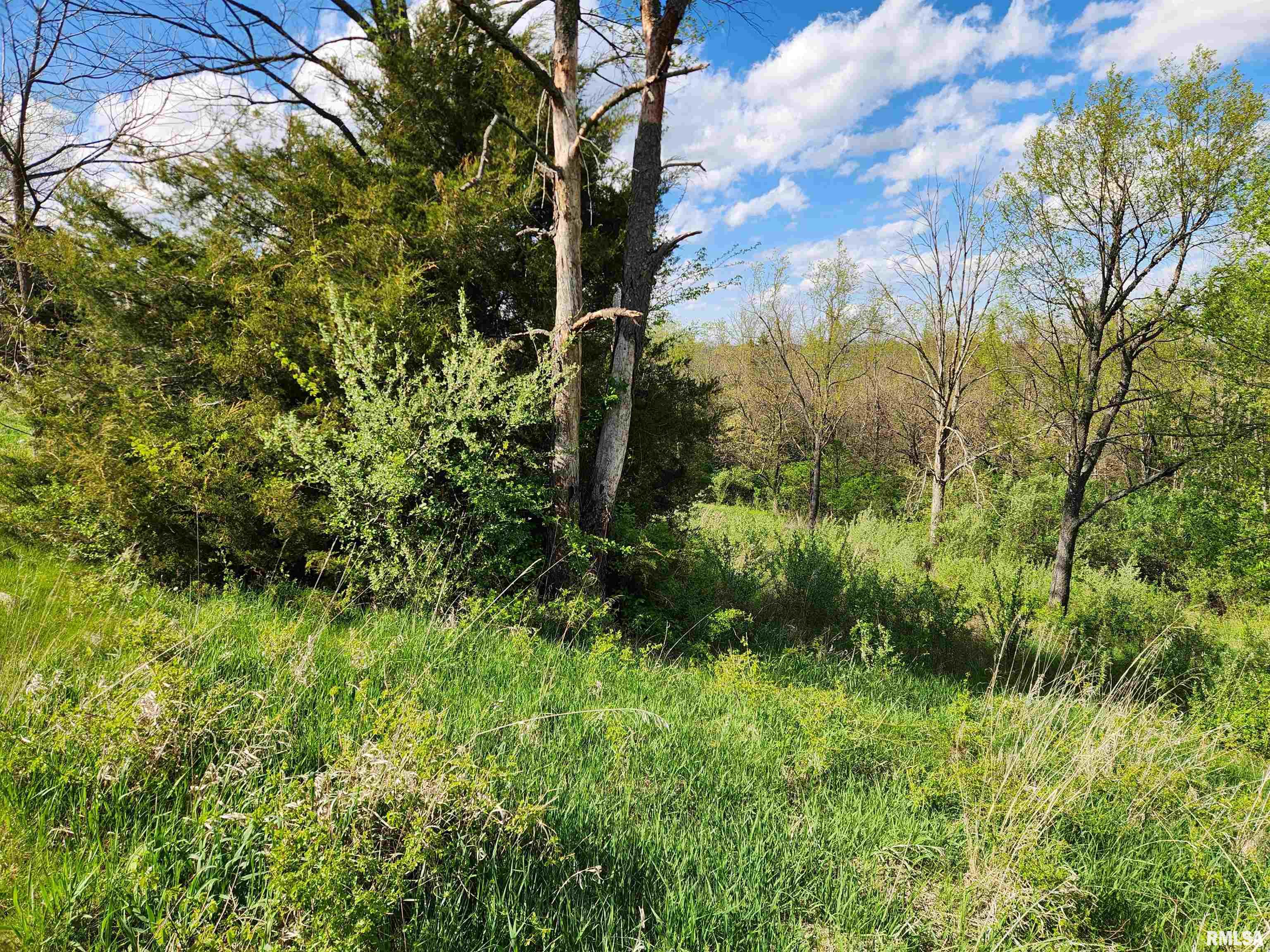 376 East Town Hall Road Metamora, IL 61548 - Photo 5 of 10