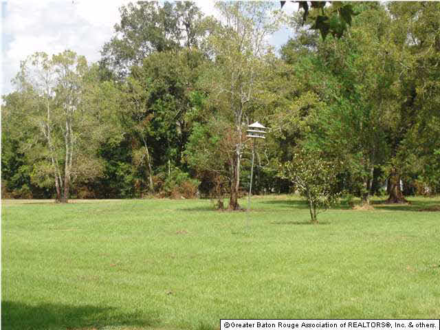 Lot R-2 Lot R-2 Thais Road Prairieville, LA 70769 - Photo 1 of 1 Gallery Image 1