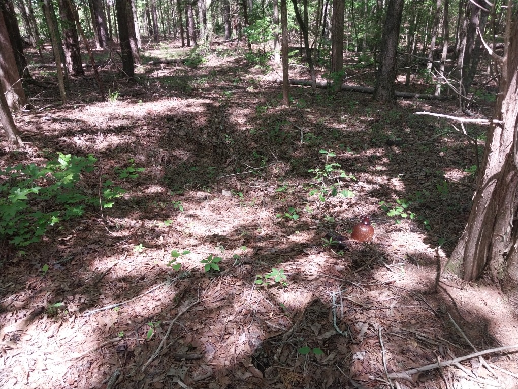 846 Latimer Mill Road Honea Path, SC 29654 - Photo 9 of 17 Gallery Image 9