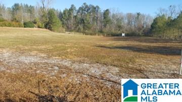 7354 Cahaba Valley Road, Unit 3 Birmingham, AL 35242 - Photo 4 of 4