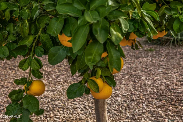 $1,374,999 | 25614 West Melanie Drive, Wittmann, AZ 85361