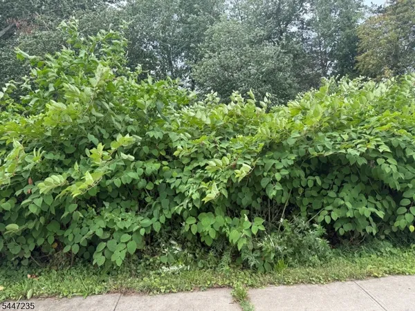 $420,000 | 1110 Walnut Street, Piscataway, NJ 08854