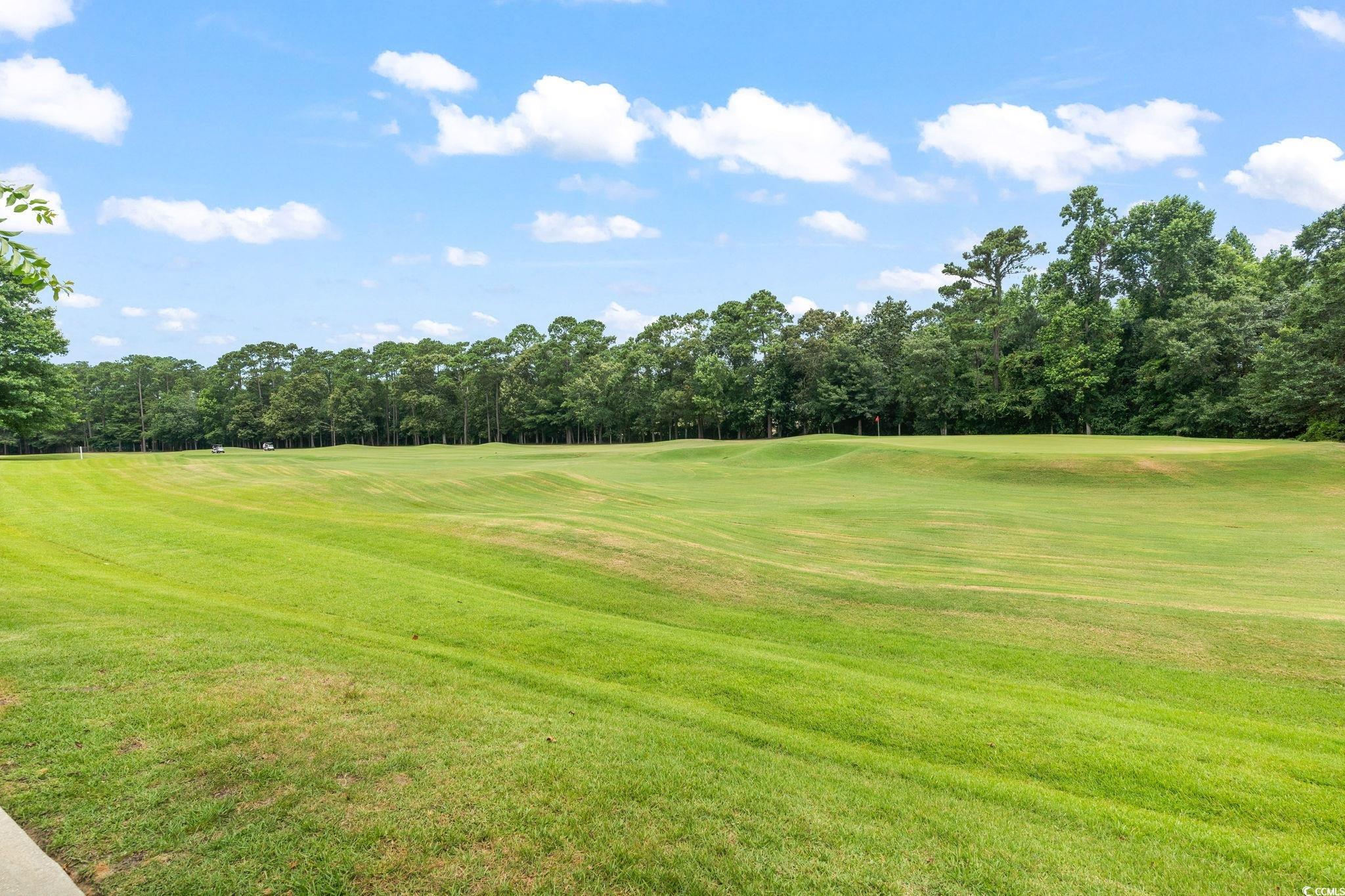 4654 Fringetree Drive, Unit 7B Murrells Inlet, SC 29576 - Photo 35 of 40 Gallery Image 35