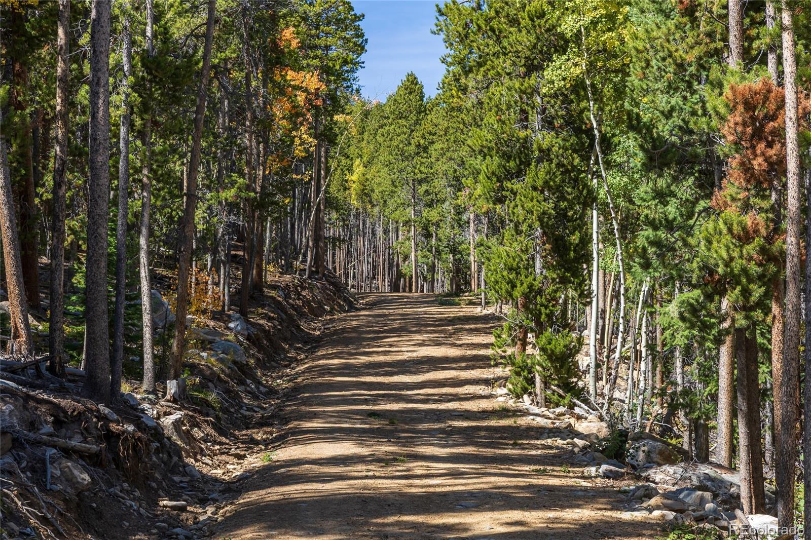 4 Seldom Seen Road Black Hawk, CO 80422 - Photo 19 of 38 Gallery Image 19