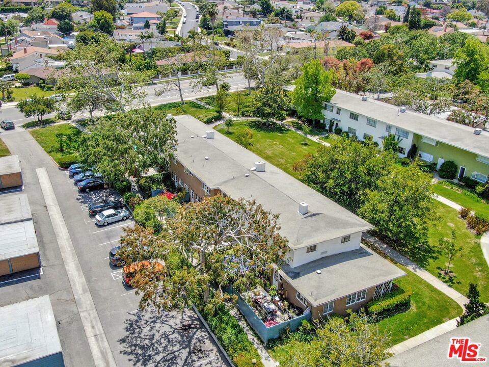 5372 Village Los Angeles, CA 90016 - Photo 22 of 28 a view of a garden with plants and large trees