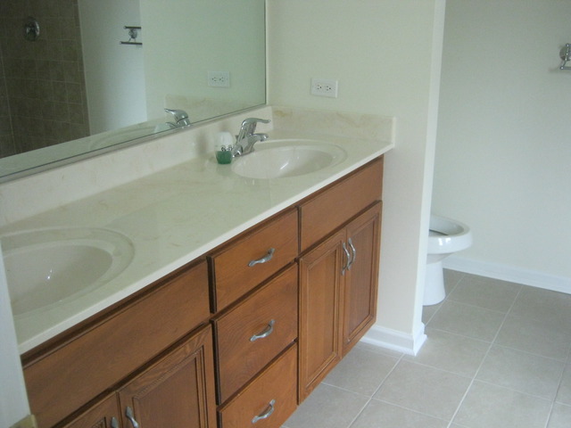 448 North River Road, Unit 448 Naperville, IL 60540 - Photo 11 of 25