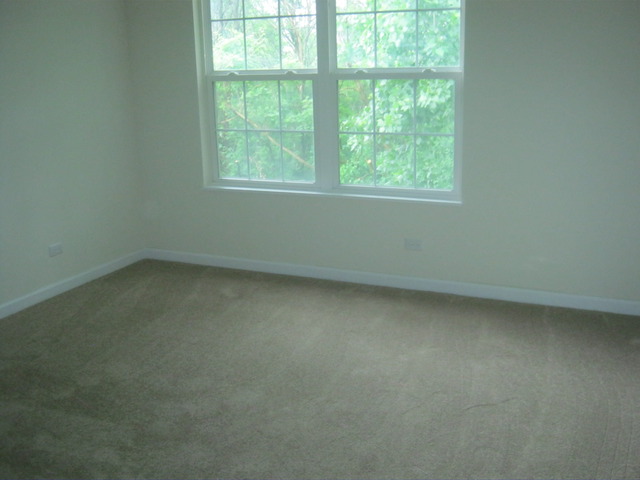 448 North River Road, Unit 448 Naperville, IL 60540 - Photo 15 of 25