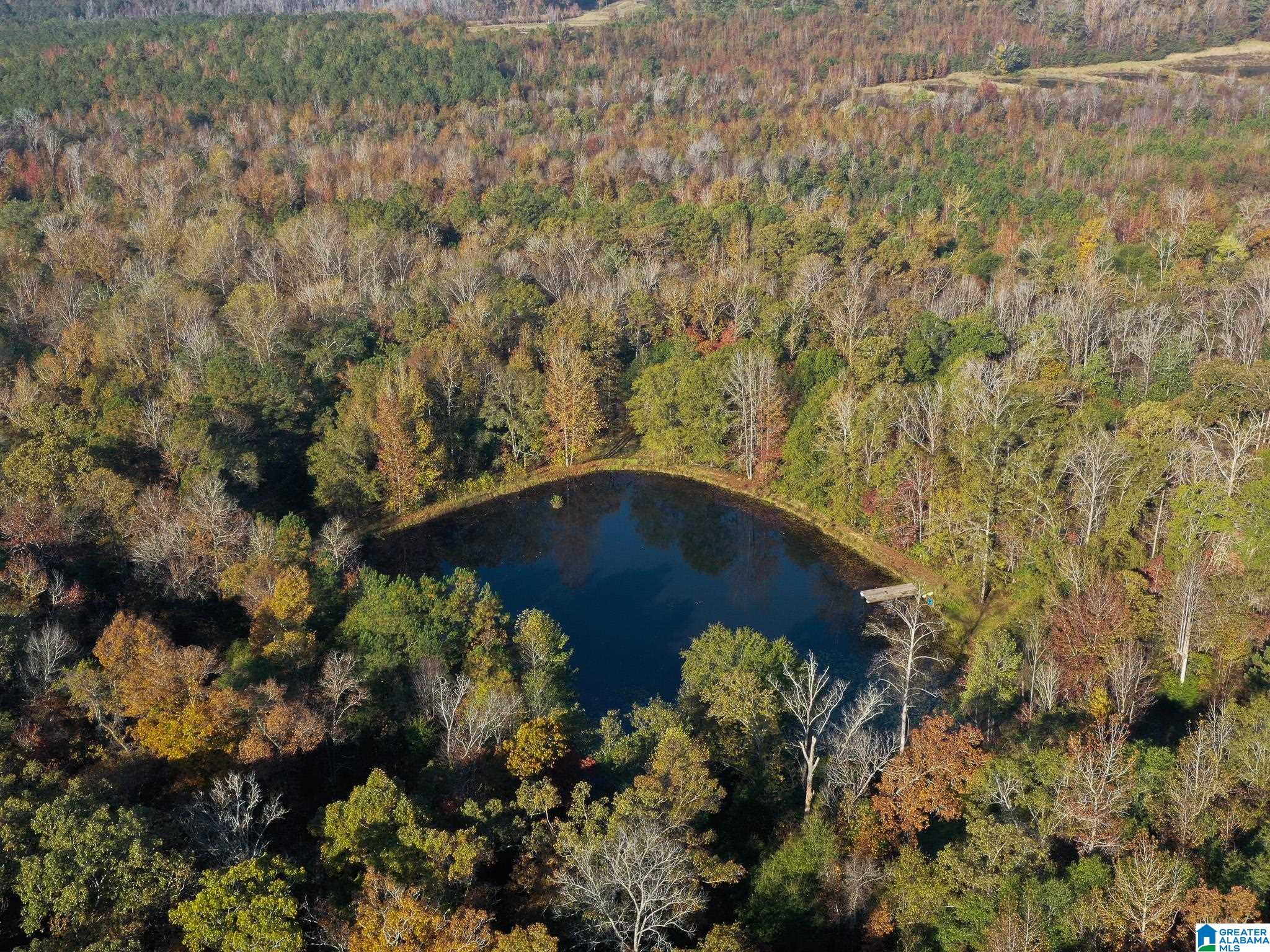 13108 Rocky Ridge Road Fosters, AL 35463 - Photo 39 of 39