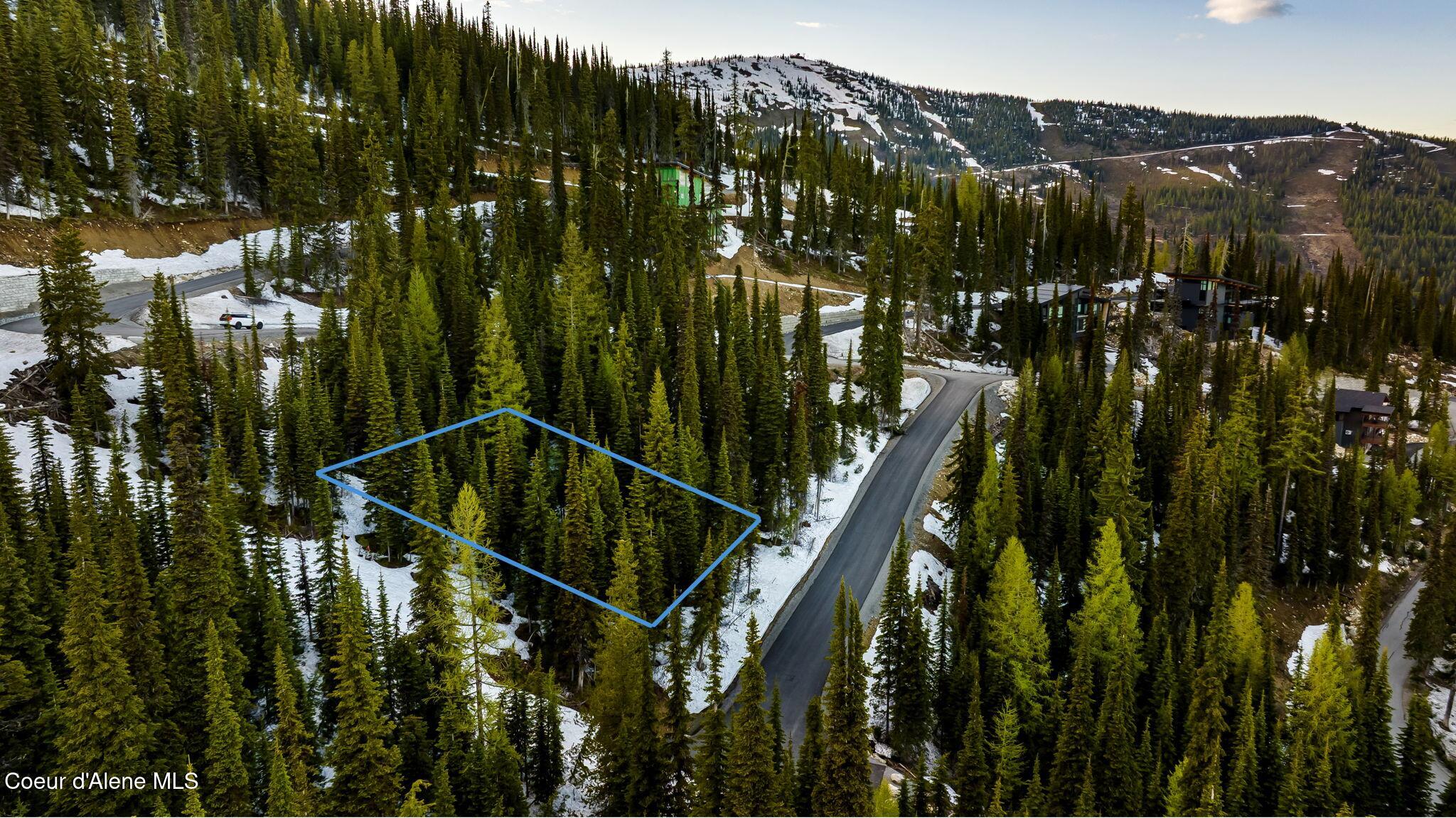 68 Snag Line Lane Sandpoint, ID 83864 - Photo 12 of 16 Uphill Lot