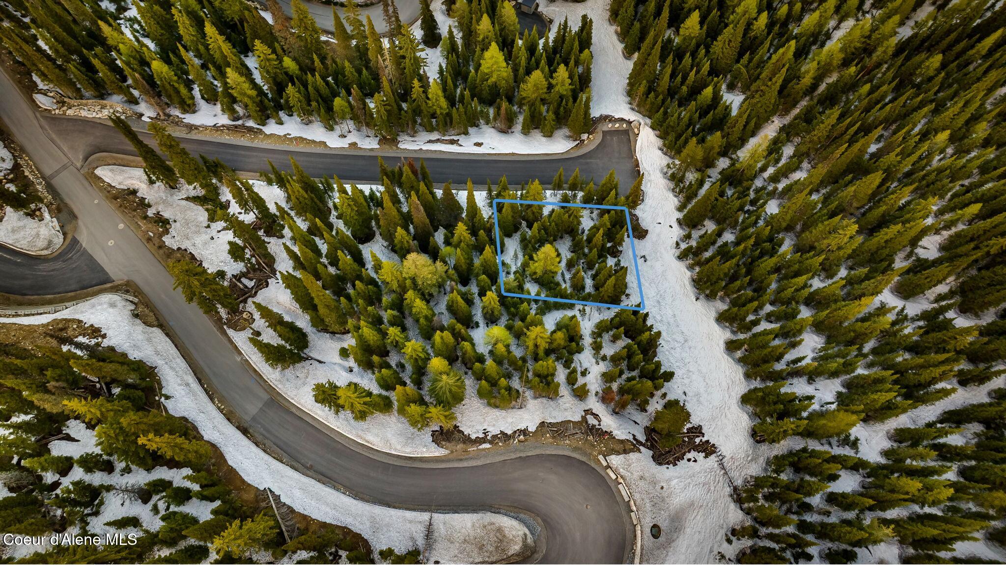 68 Snag Line Lane Sandpoint, ID 83864 - Photo 14 of 16 Blue Lines are approximate