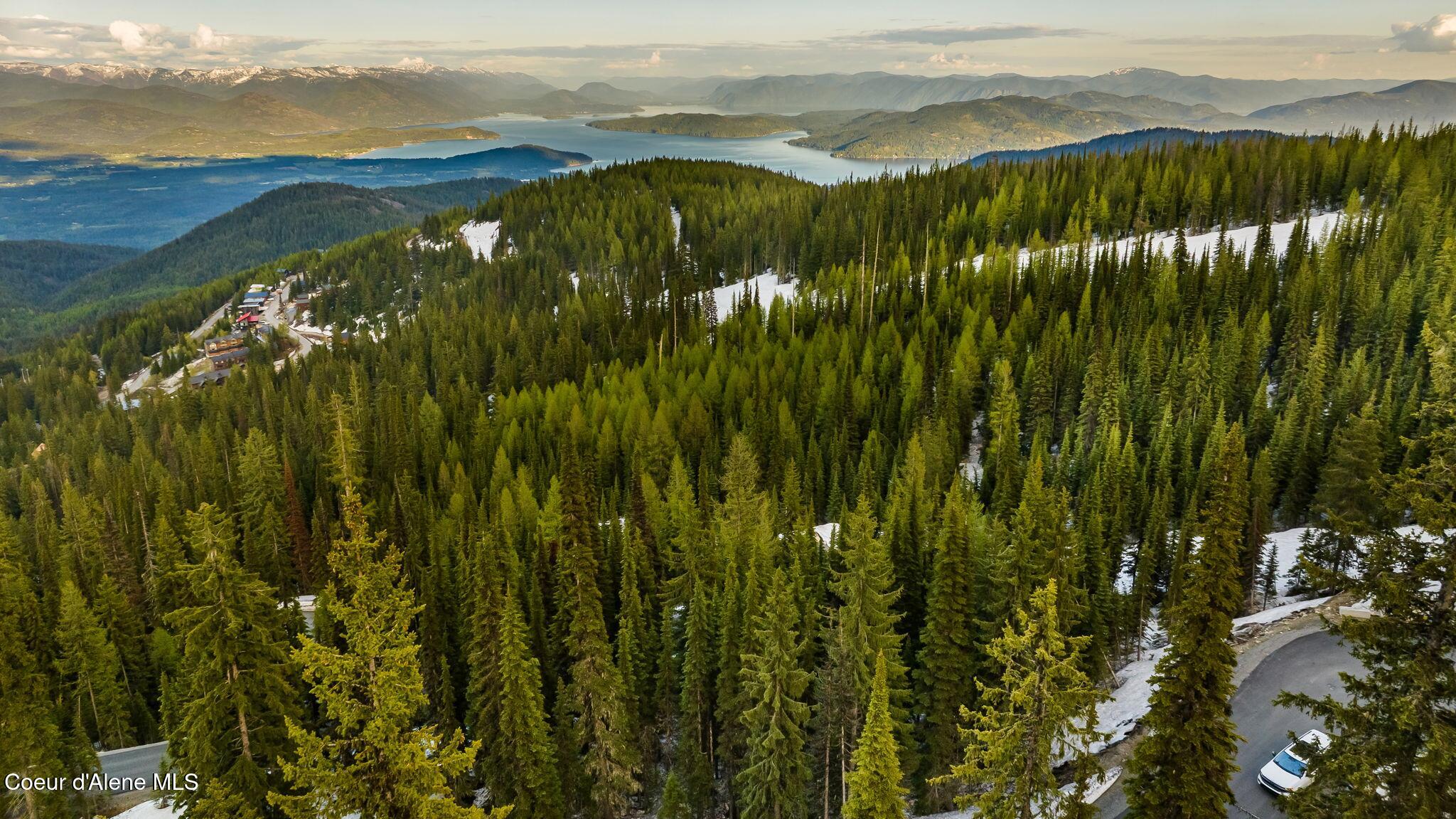 68 Snag Line Lane Sandpoint, ID 83864 - Photo 5 of 16 Overlooking Lot