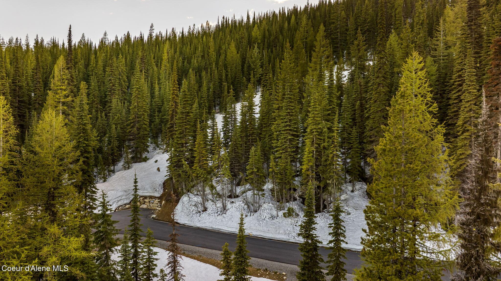 68 Snag Line Lane Sandpoint, ID 83864 - Photo 7 of 16 Hiking Trail end of street