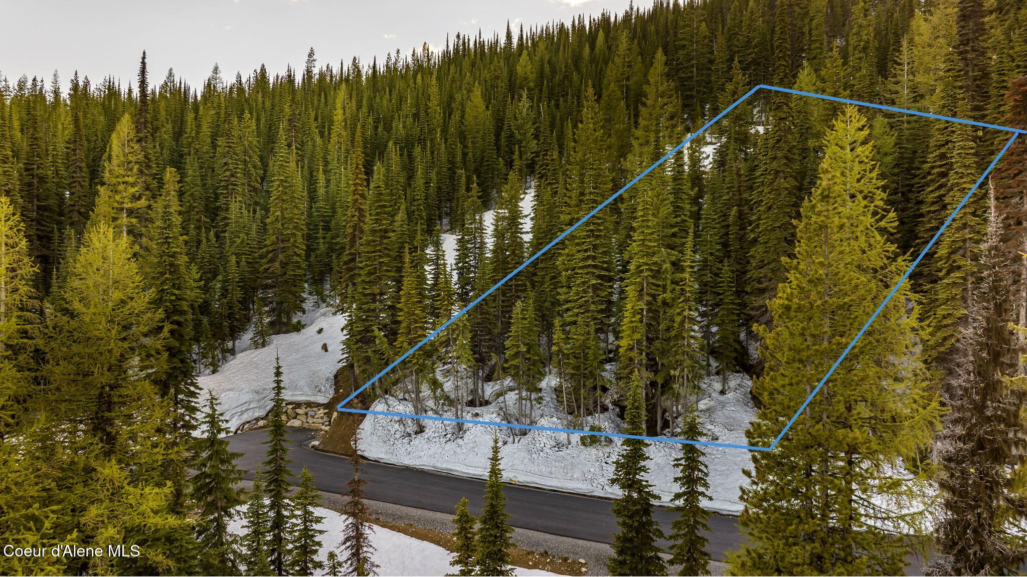 68 Snag Line Lane Sandpoint, ID 83864 - Photo 8 of 16 Lines are approximate