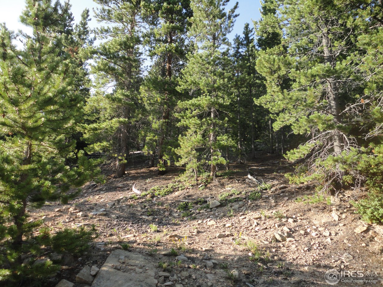 34097 Gap Road Golden, CO 80403 - Photo 1 of 5 Mostly undeveloped vacant lot immediately adjacent