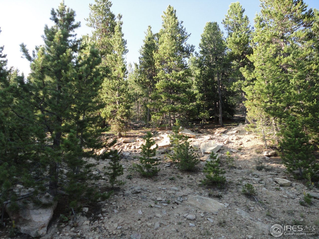 34097 Gap Road Golden, CO 80403 - Photo 2 of 5 View from bottom of lot 34097 Gap Rd. - the drivew