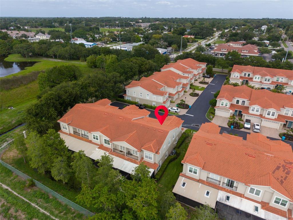 1460 Ribolla Drive Palm Harbor, FL 34683 - Photo 47 of 47