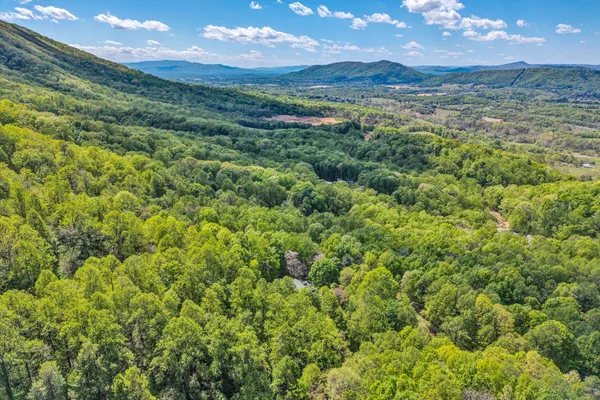 a view of a city with lush green forest