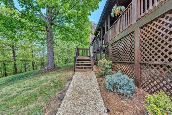 a view of a back yard