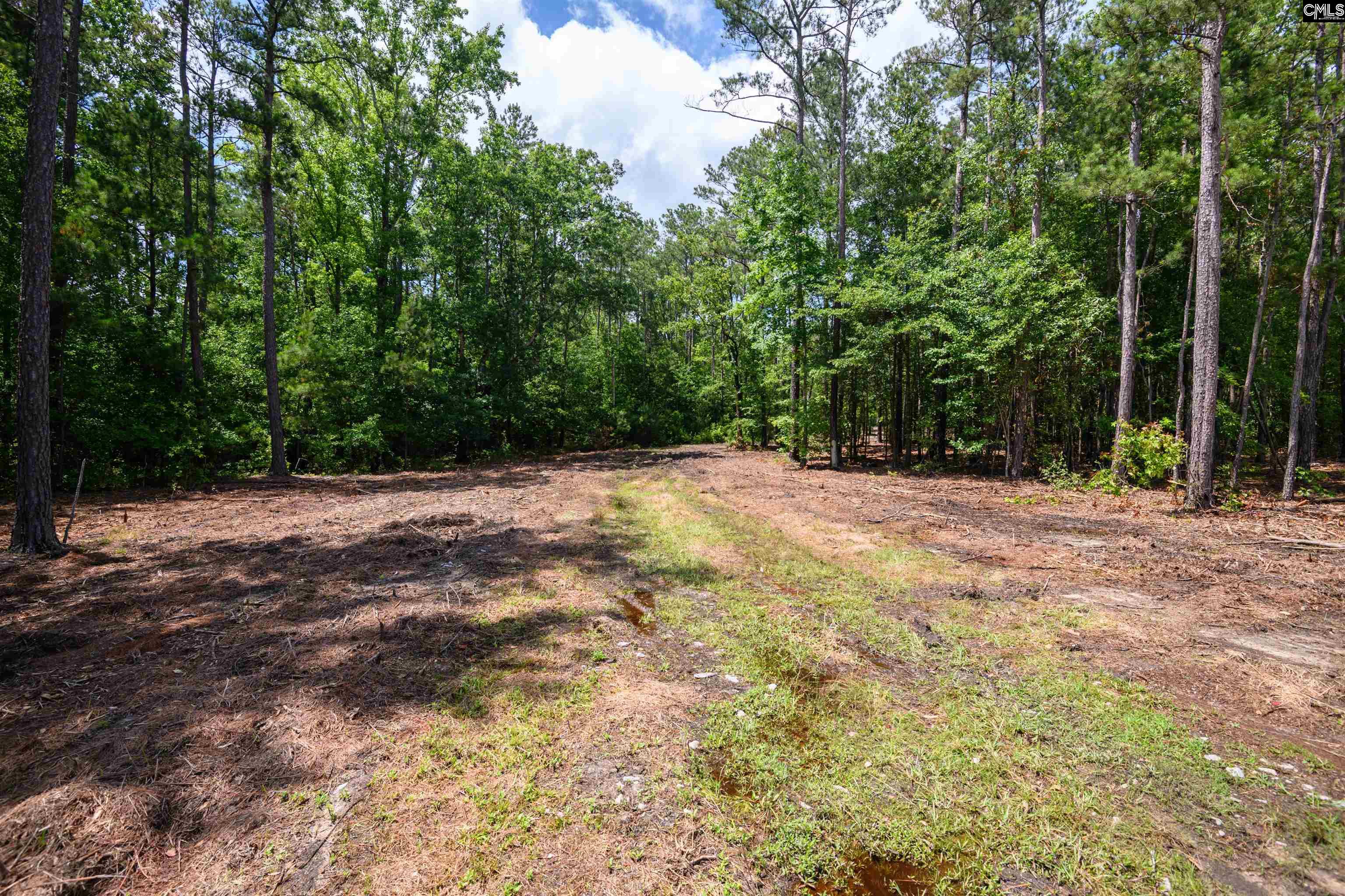 227 State Rd S-32-145, Unit LOT 1 Lexington, SC 29072 - Photo 8 of 23