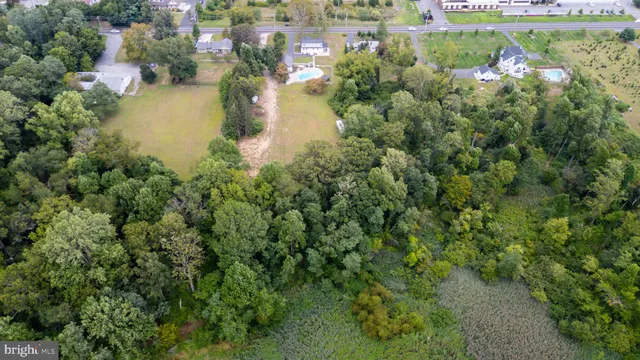 a picture of flowers and water view