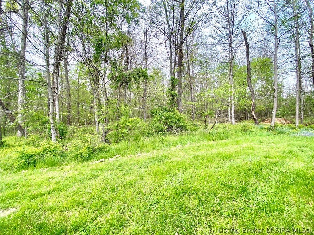 2602 Old State Road Henryville, IN 47126 - Photo 50 of 54