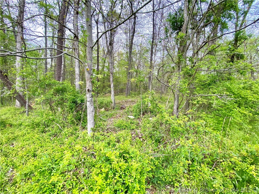 2602 Old State Road Henryville, IN 47126 - Photo 51 of 54