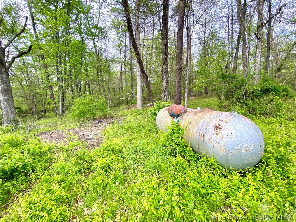 2602 Old State Road Henryville, IN 47126 - Photo 52 of 54