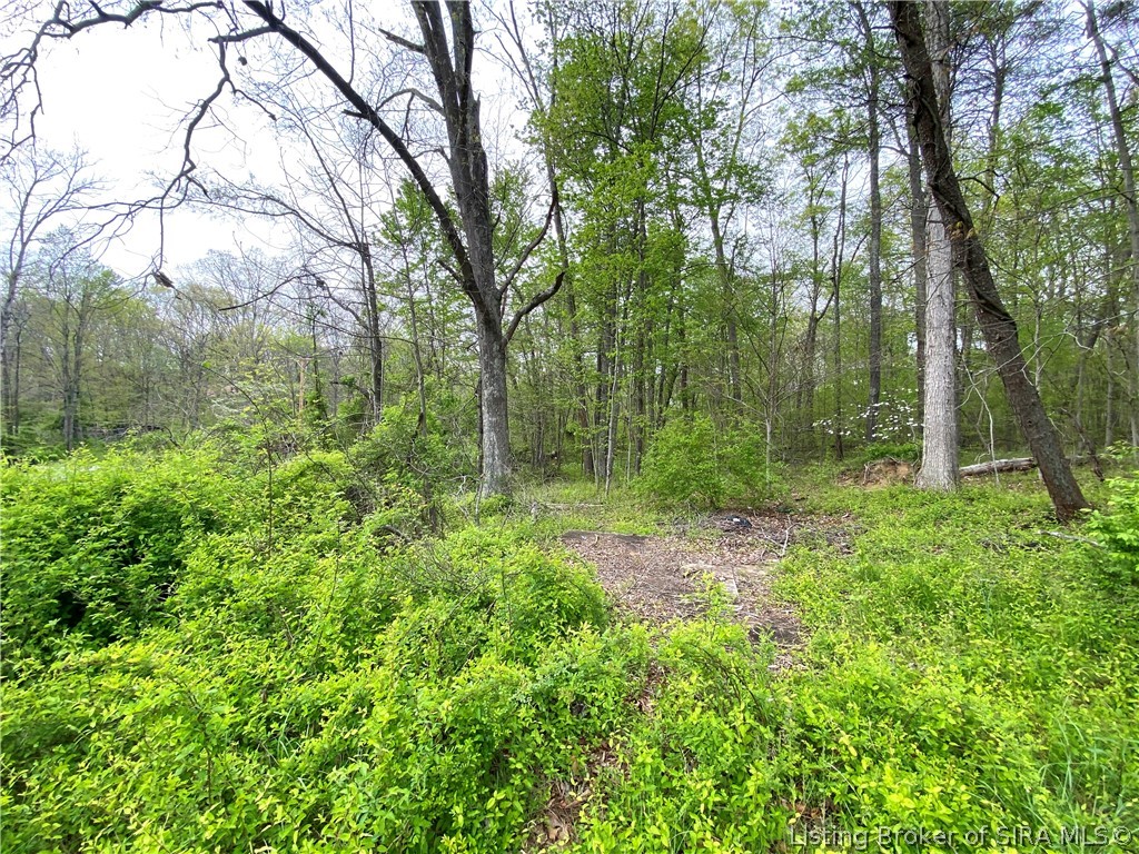 2602 Old State Road Henryville, IN 47126 - Photo 53 of 54
