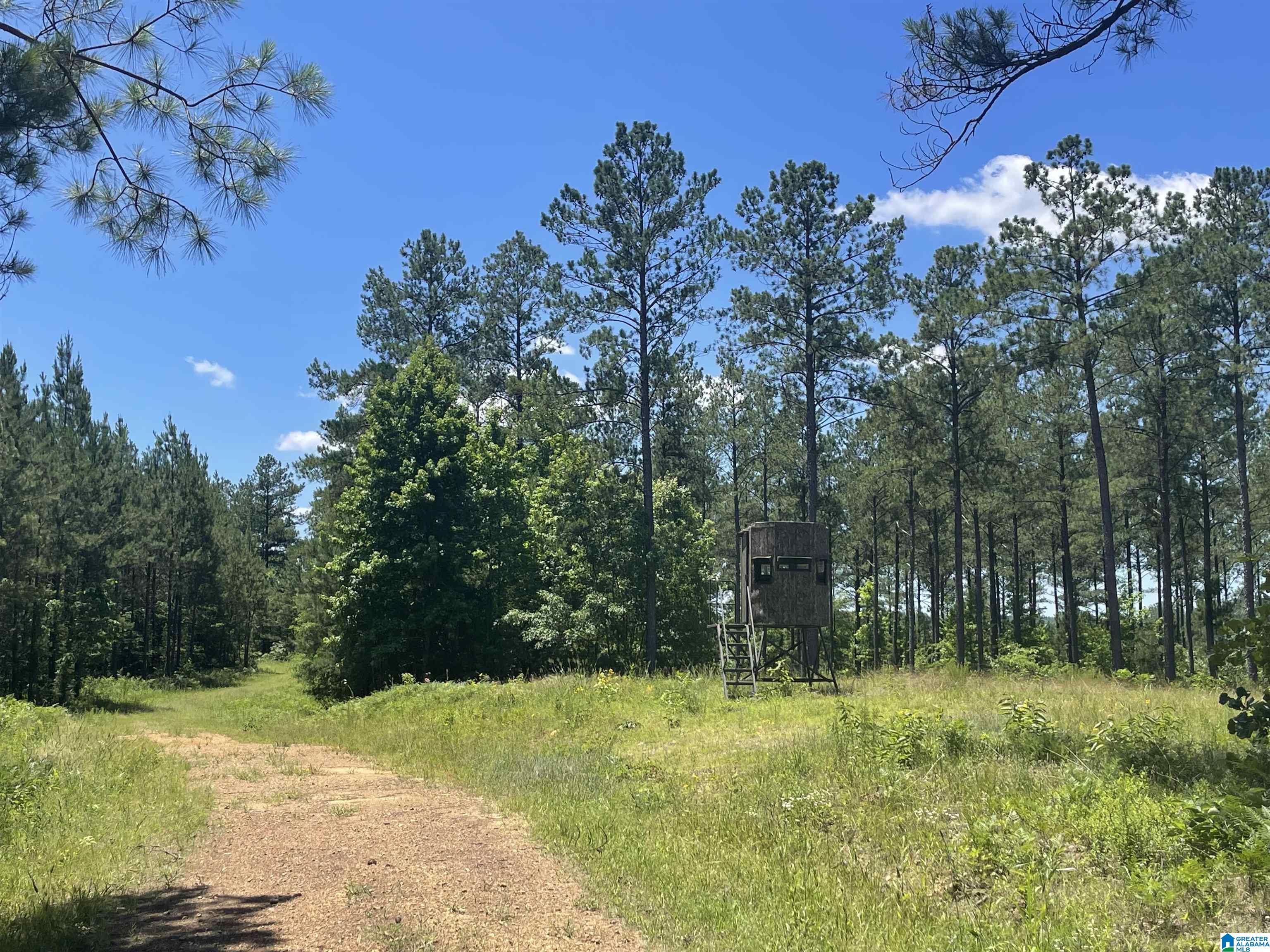 0 Chelsea Farms Road, Unit 24 Chelsea, AL 35043 - Photo 8 of 37