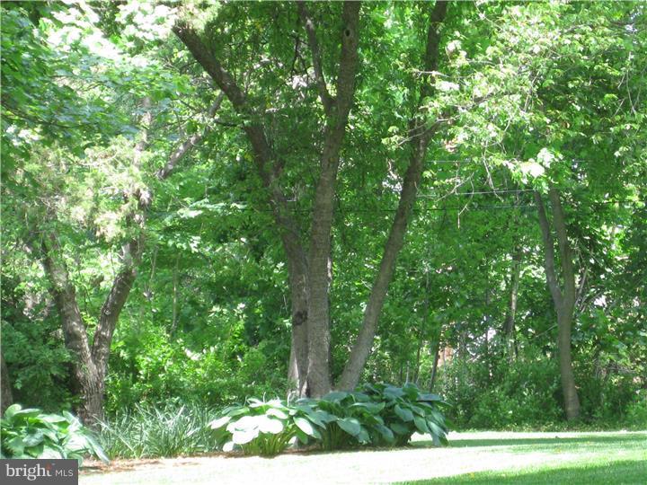 528 Linton Hill Road Newtown, PA 18940 - Photo 6 of 23 Side Yard