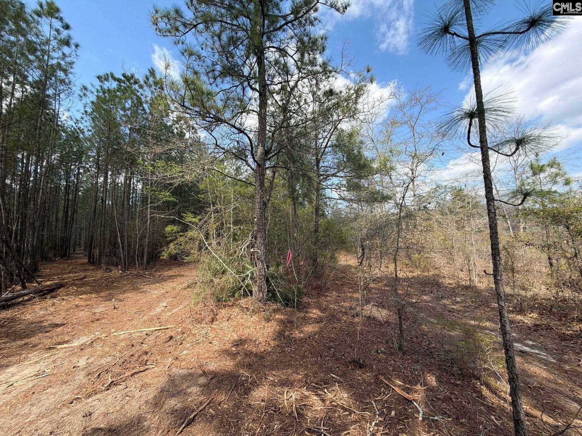 4 Mt Calvary Rd Ridge Spring Ridge Spring, SC 29129 - Photo 29 of 40